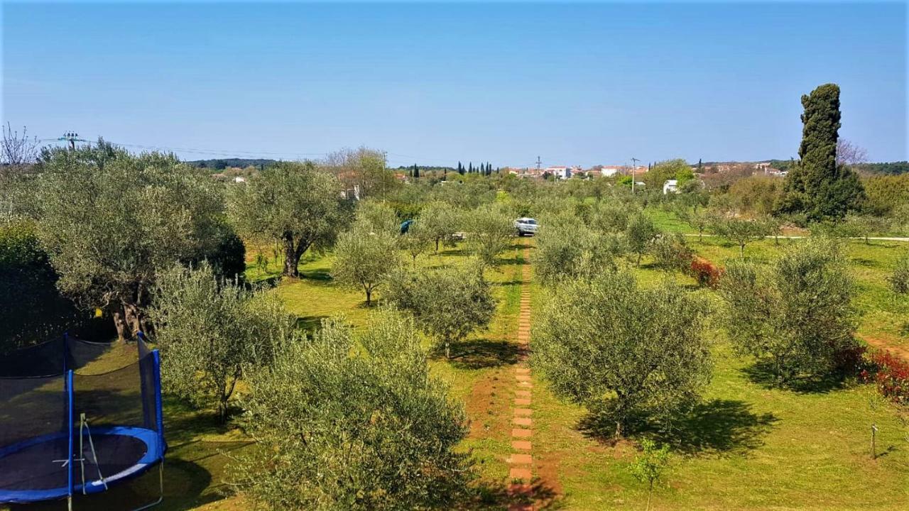 Ferienhaus Rural Sarisol *