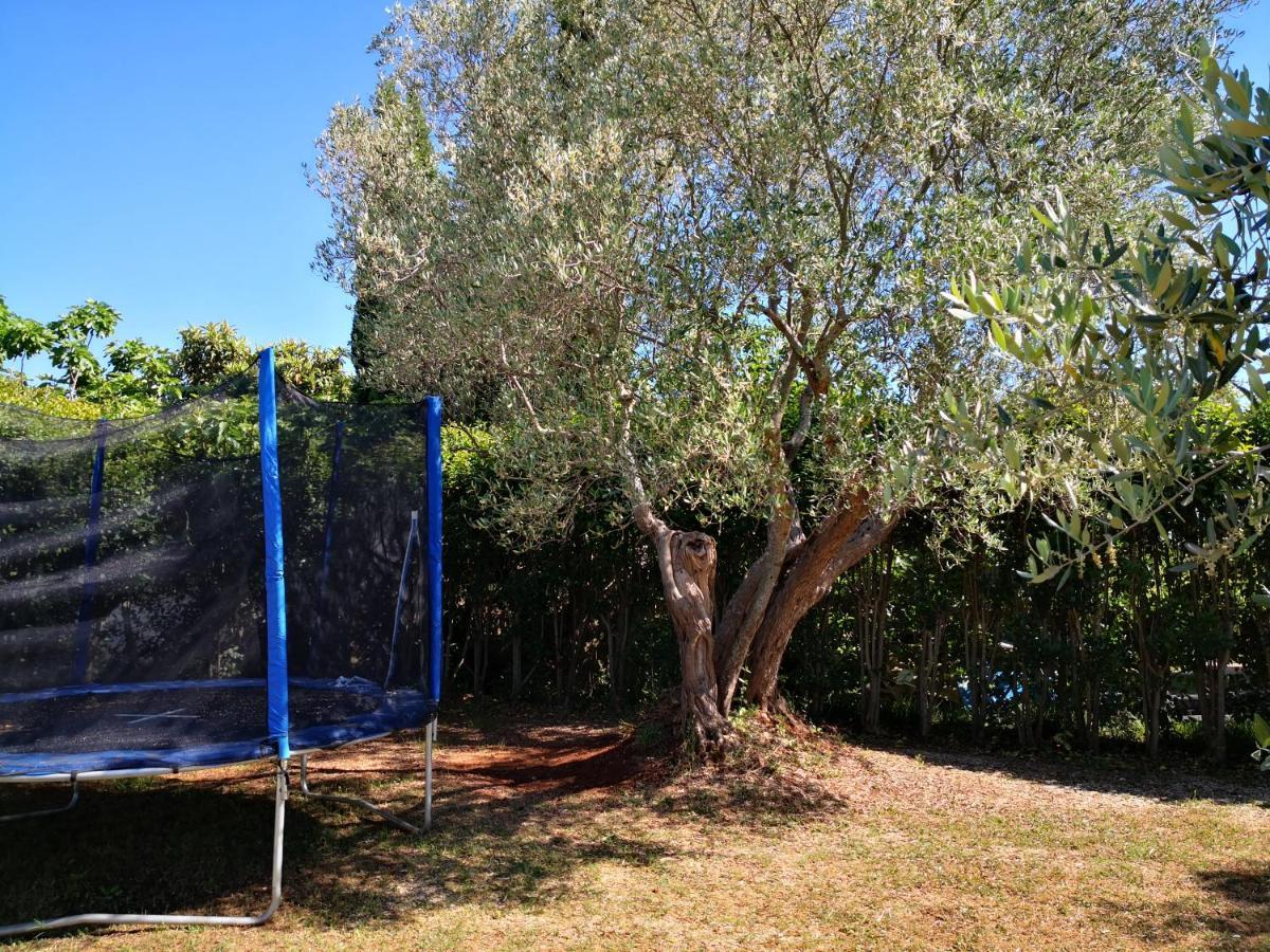 Ferienhaus Rural Sarisol *