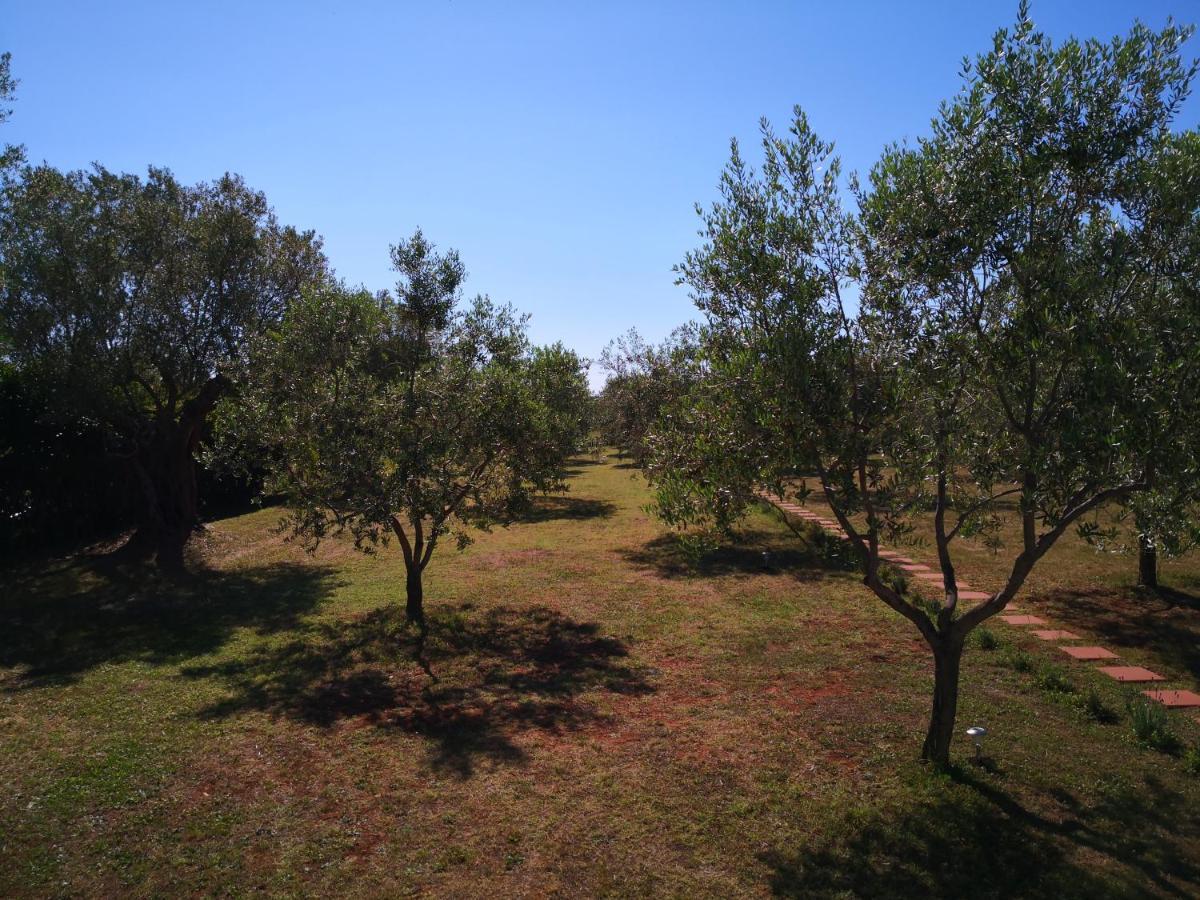 Ferienhaus Rural Sarisol *
