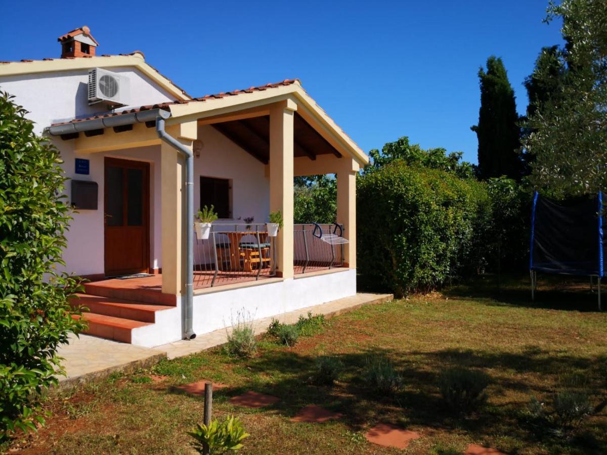 Rural Sarisol