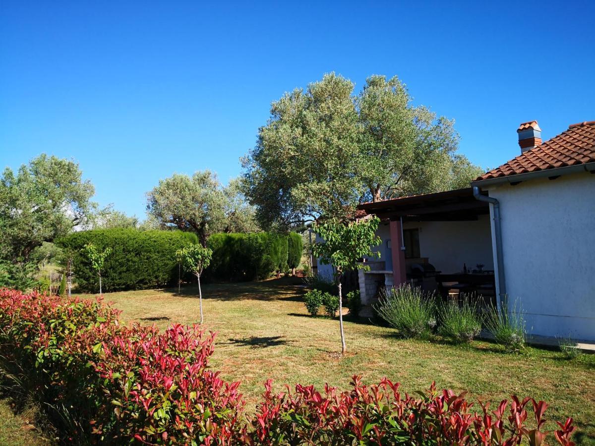 Rural Sarisol
