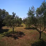 Rural Home Sarisol