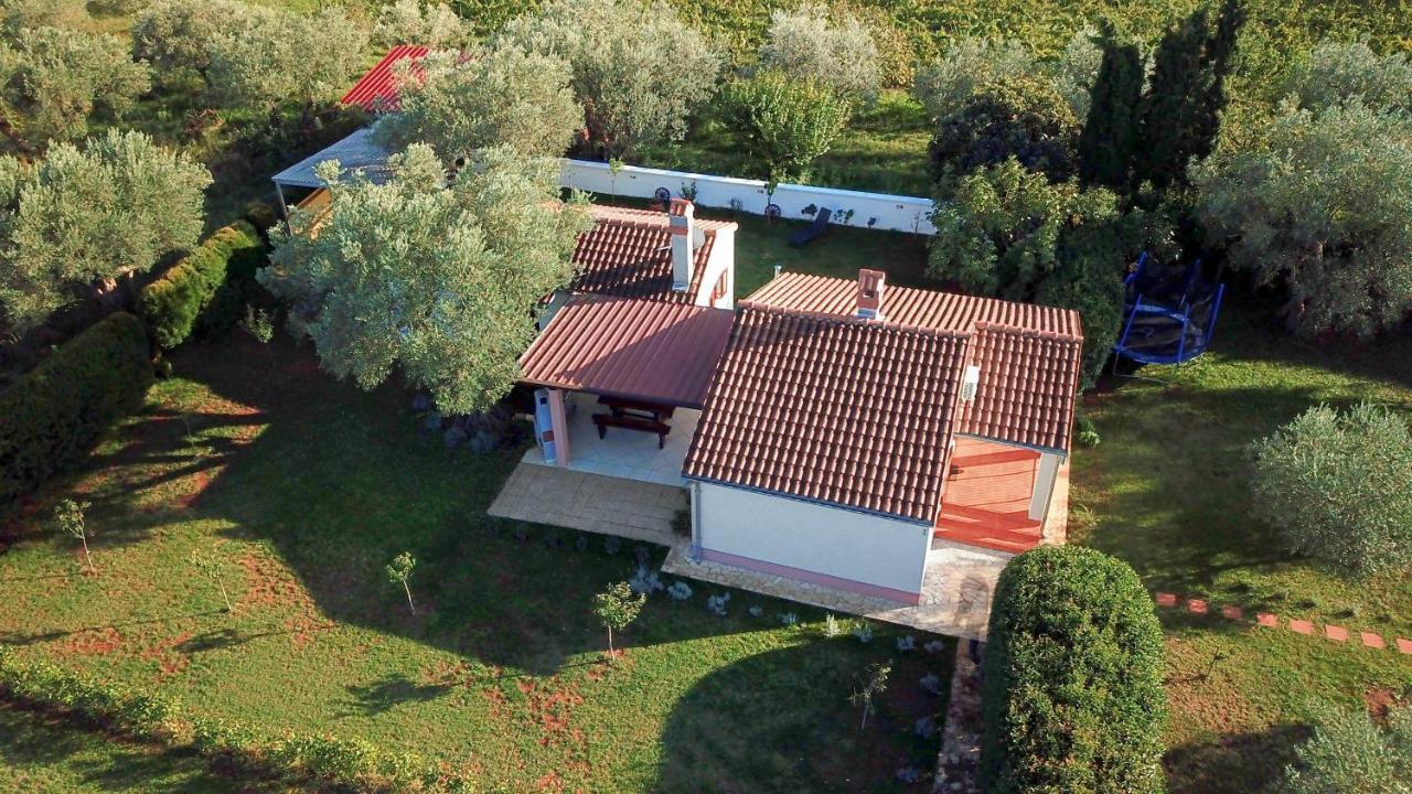 Rural Sarisol
