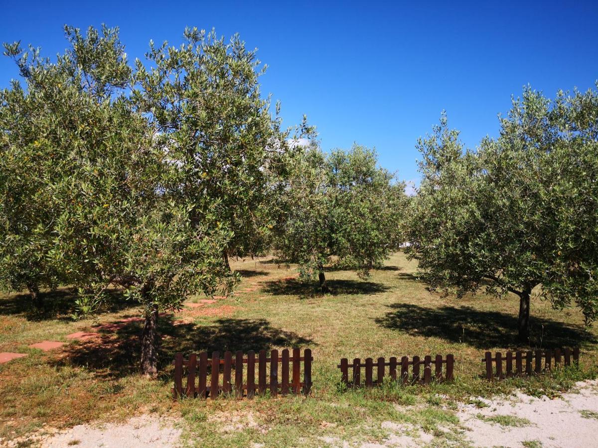 Rural Sarisol Casa vacanze *